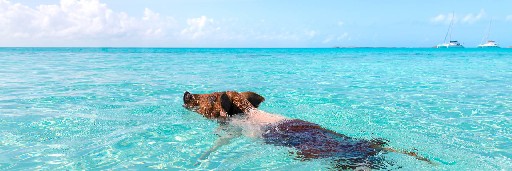 Landschaftsaufnahmen