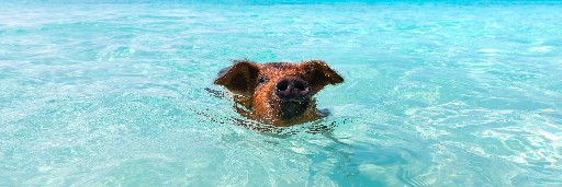 Landschaftsaufnahmen