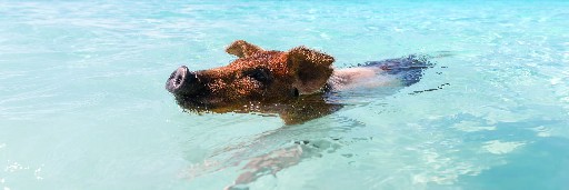 Landschaftsaufnahmen