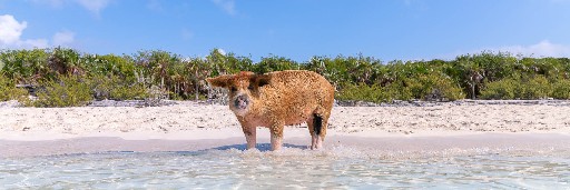 Landschaftsaufnahmen Landschaftsaufnahmen