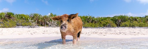 Landschaftsaufnahmen