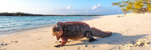 Landschaftsaufnahmen Landschaftsaufnahmen