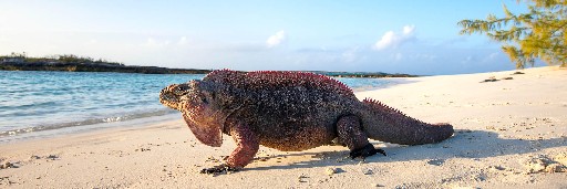Landschaftsaufnahmen Landschaftsaufnahmen