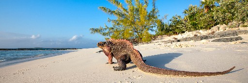 Landschaftsaufnahmen Landschaftsaufnahmen