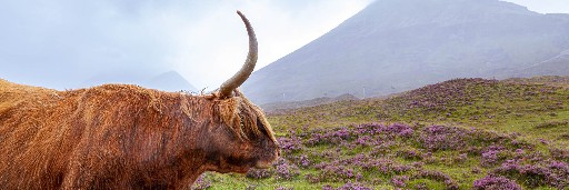 Landschaftsaufnahmen Landschaftsaufnahmen