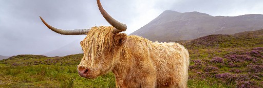 Landschaftsaufnahmen Landschaftsaufnahmen