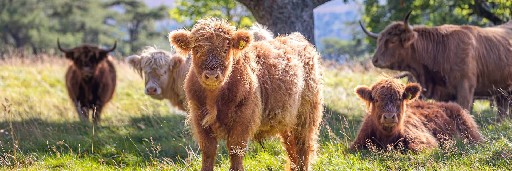 Landschaftsaufnahmen