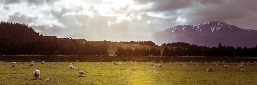 Landschaftsaufnahmen Landschaftsaufnahmen