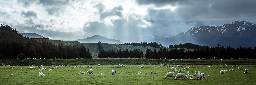Landschaftsaufnahmen Landschaftsaufnahmen