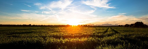 Landschaftsaufnahmen Landschaftsaufnahmen